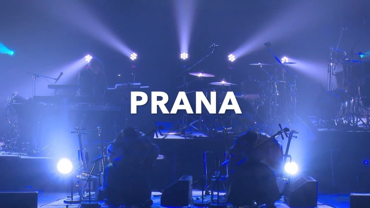 吉田兄弟「PRANA」ライブ映像